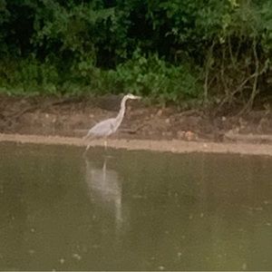 Meet your Posher, Eva